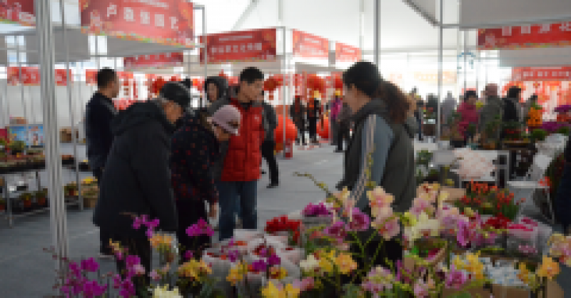 太火爆！金沙灘啤酒城春節(jié)國(guó)際商品展銷會(huì)延期三天